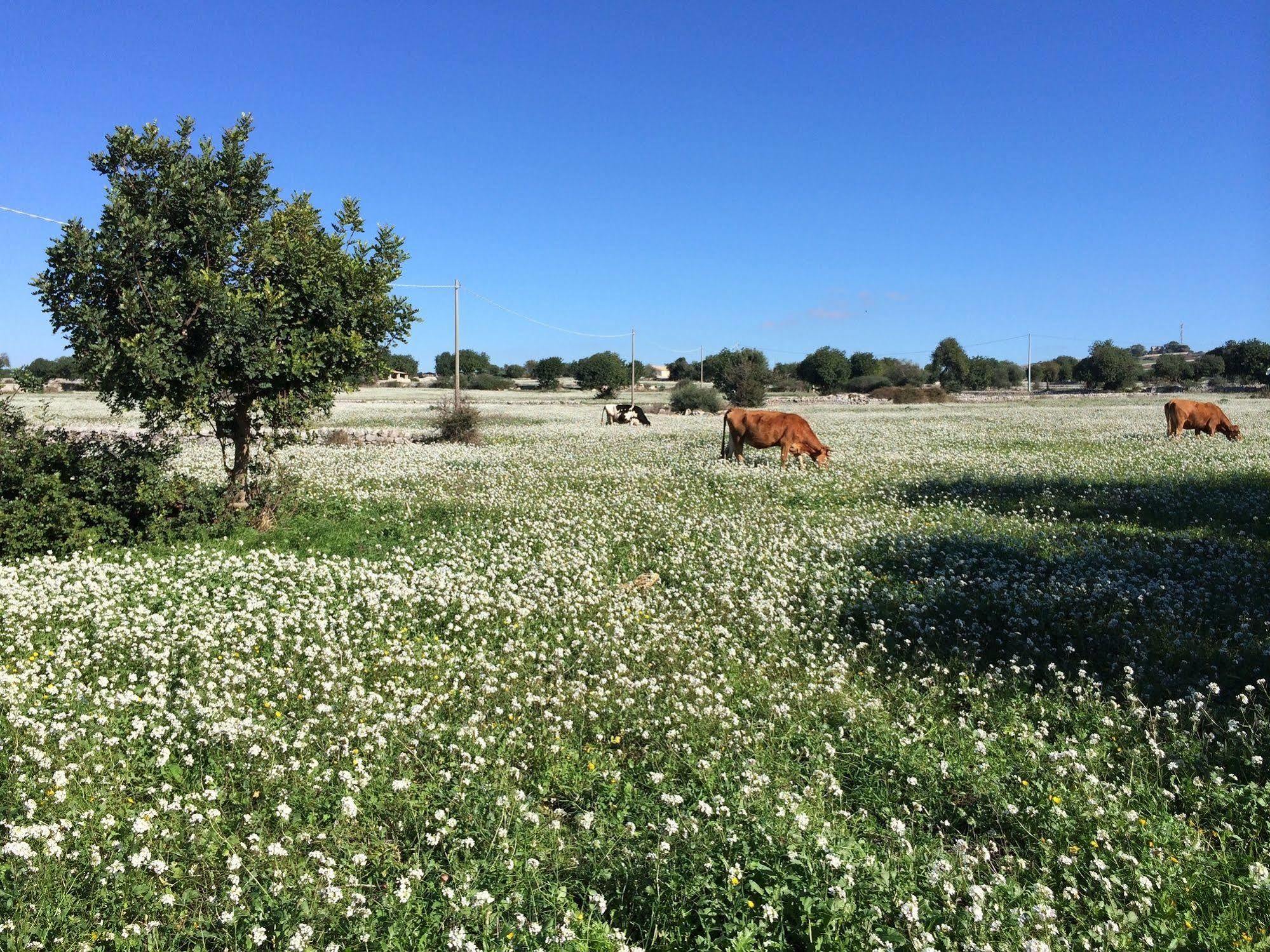 Di Cutalia - Cutalia Casa rural *